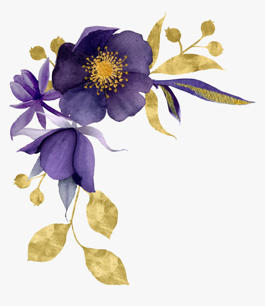 Colorado Blue Columbine, HD Png Download