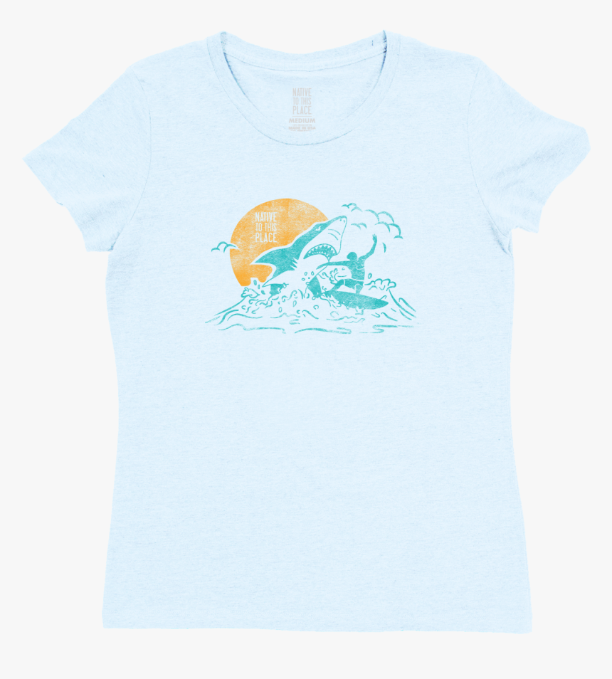 Desert Tortoise, HD Png Download