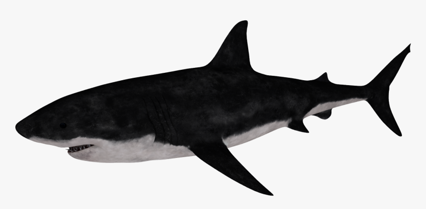 Requiem Shark, HD Png Download