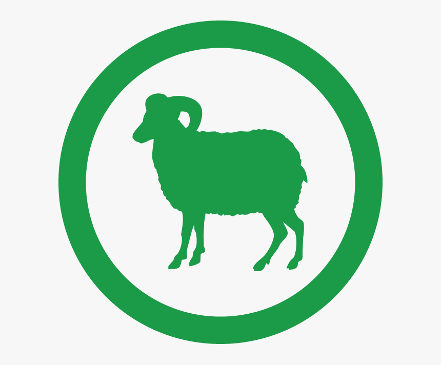 Bighorn, HD Png Download