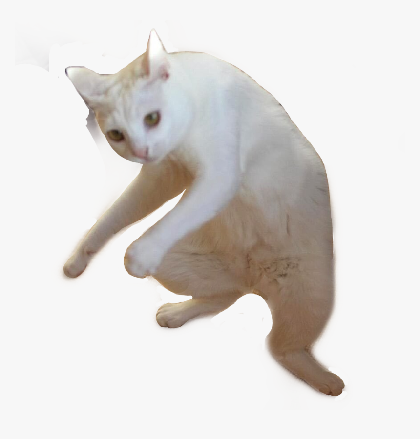 Yo Habia Ponido Meme Png, Transparent Png