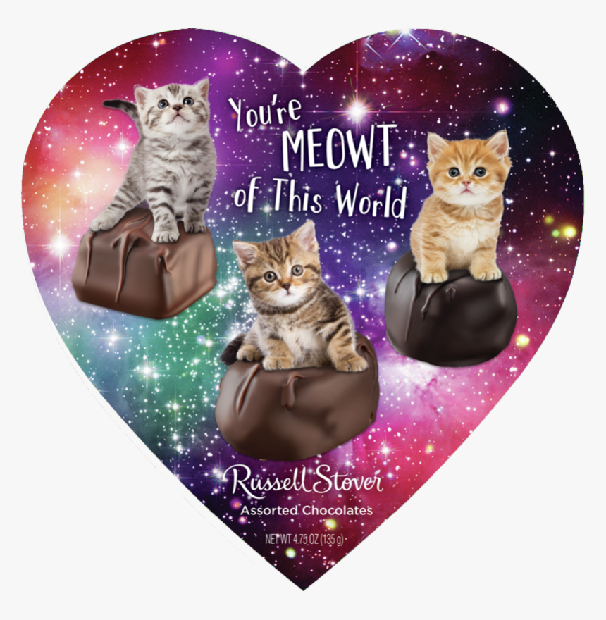 Russell Stover Assorted Meme Hearts, - Domestic Short-haired Cat, HD Png Download