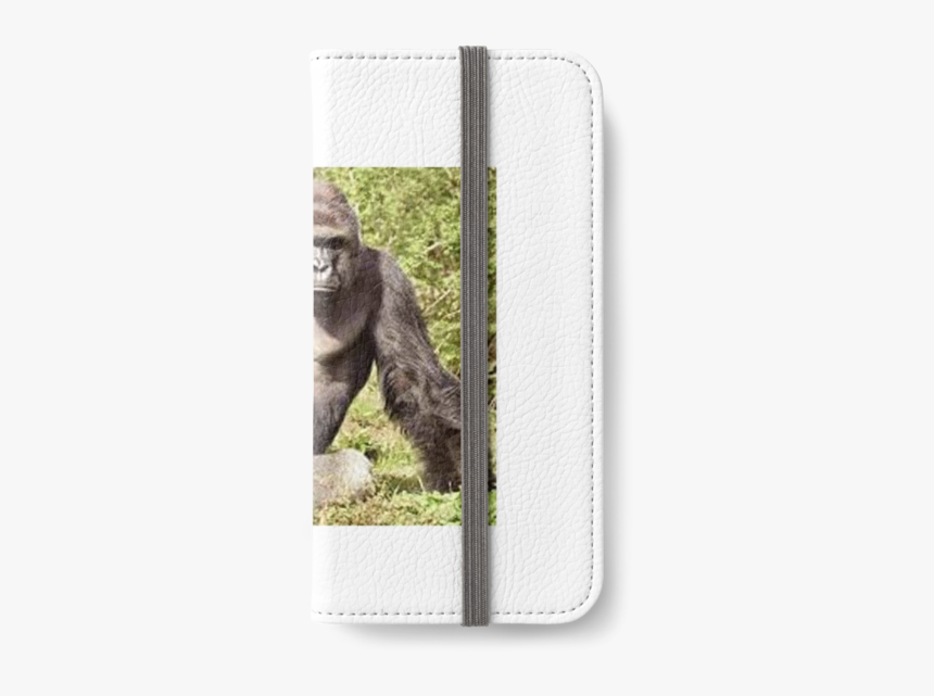 Mountain Gorilla, HD Png Download