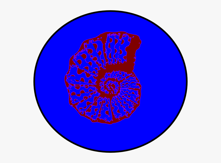 Circle, HD Png Download