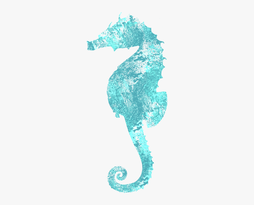 Seahorse Kids T Shirt Designs, HD Png Download
