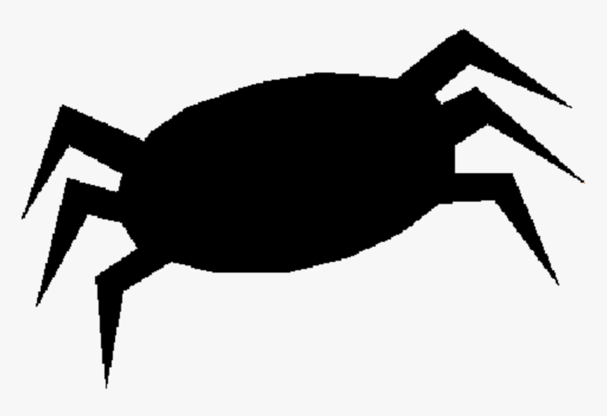 Photography - Black Widoe Spider Drawings, HD Png Download