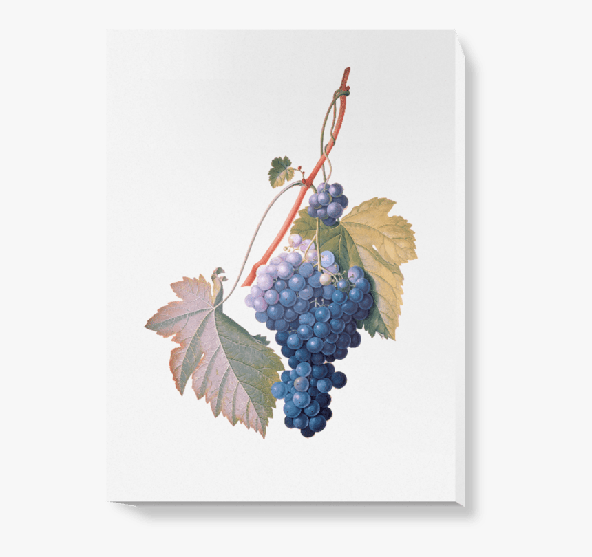 Illustration, HD Png Download