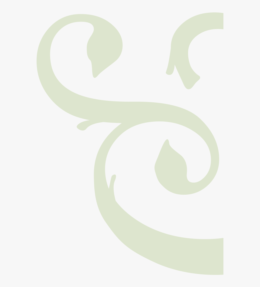 Twig & Vine - Calligraphy, HD Png Download