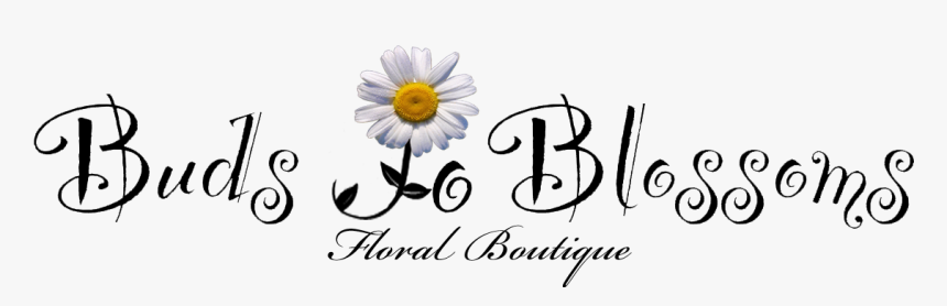 Buds To Blossoms Floral Boutique - Art Buzz Kids, HD Png Download