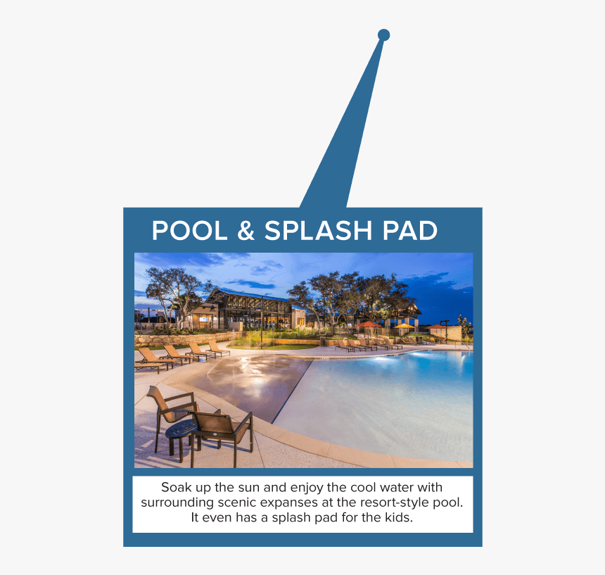 Arabian Camel, HD Png Download