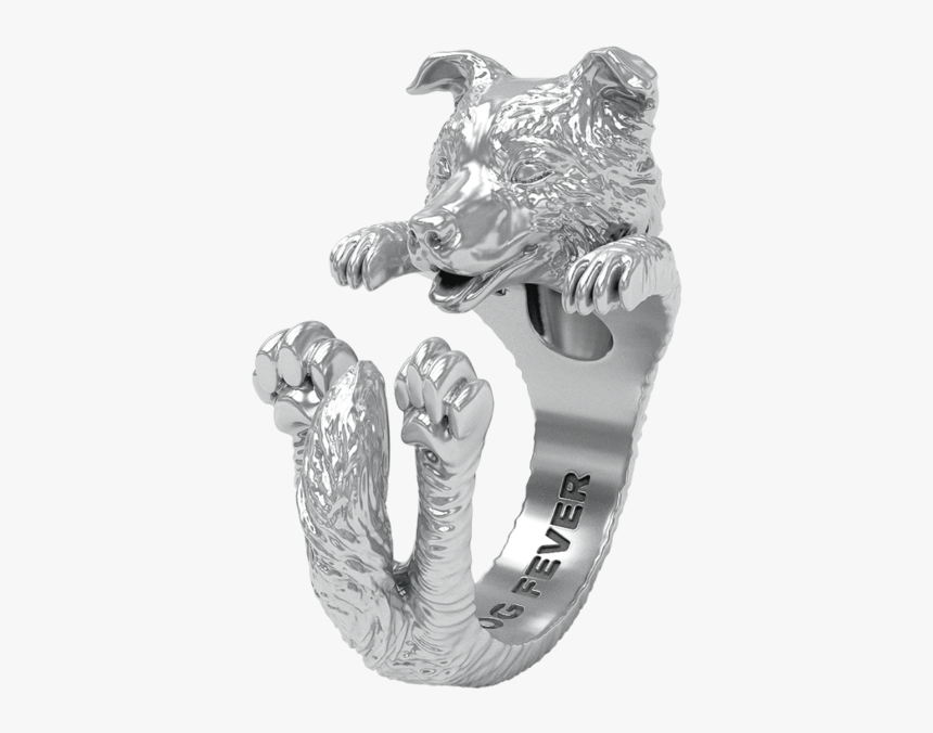 Border Collie Ring, HD Png Download