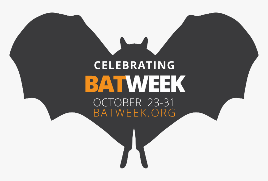 Bat, HD Png Download