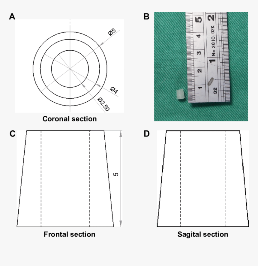Circle, HD Png Download