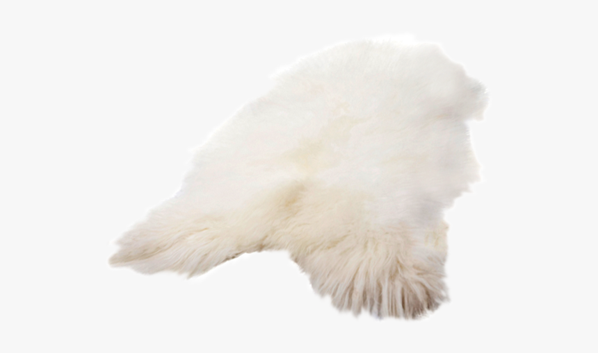 Fur, HD Png Download