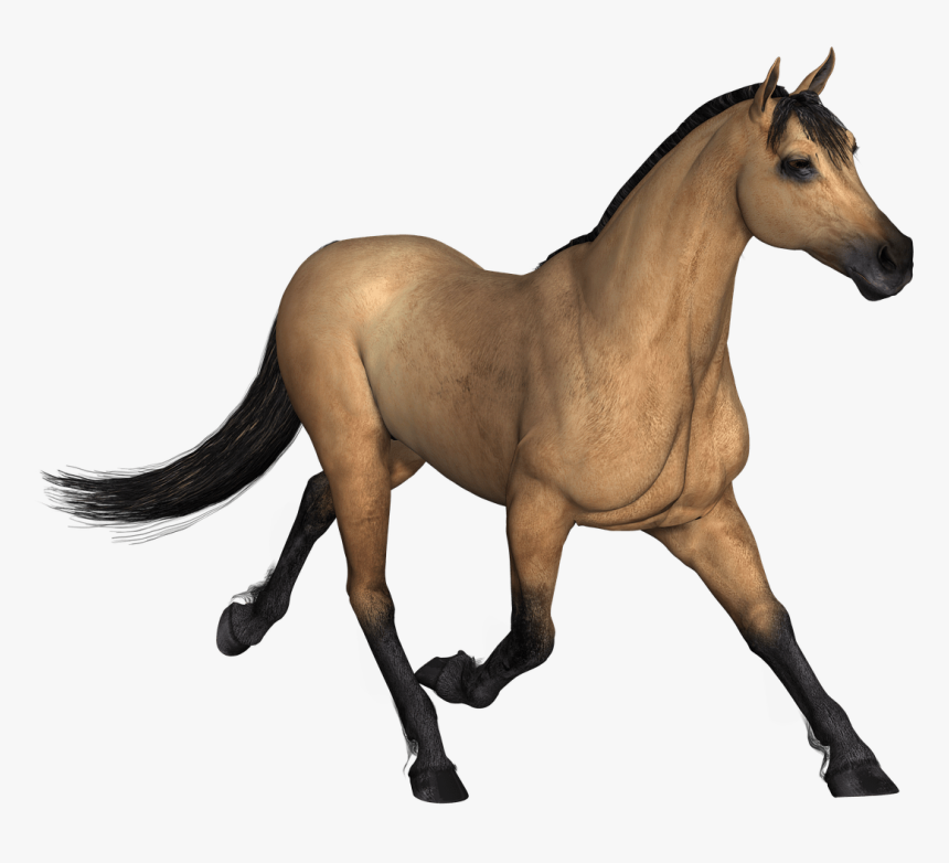 Brown Horse Running Clipart , Png Download - Imagen De Caballo En Png, Transparent Png
