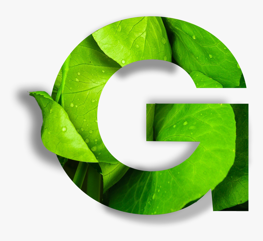 Globe 2020 Vancouver, HD Png Download