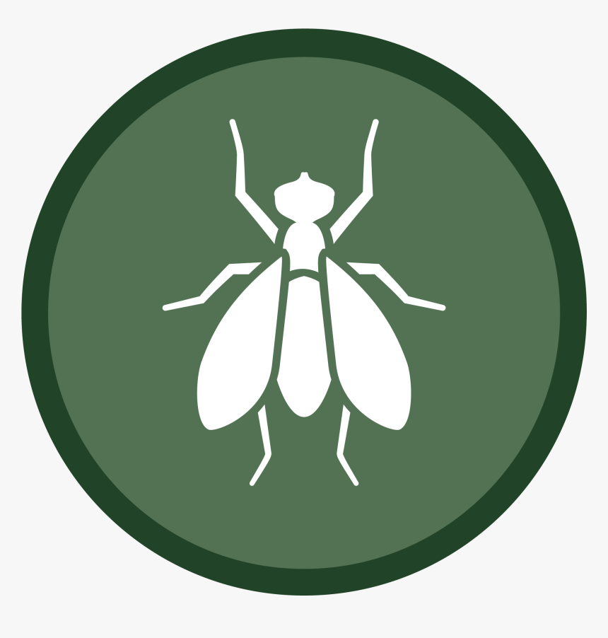 Fly Icon-02 - Illustration, HD Png Download