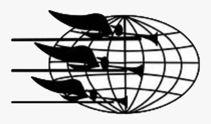 True Religion - Line Art, HD Png Download