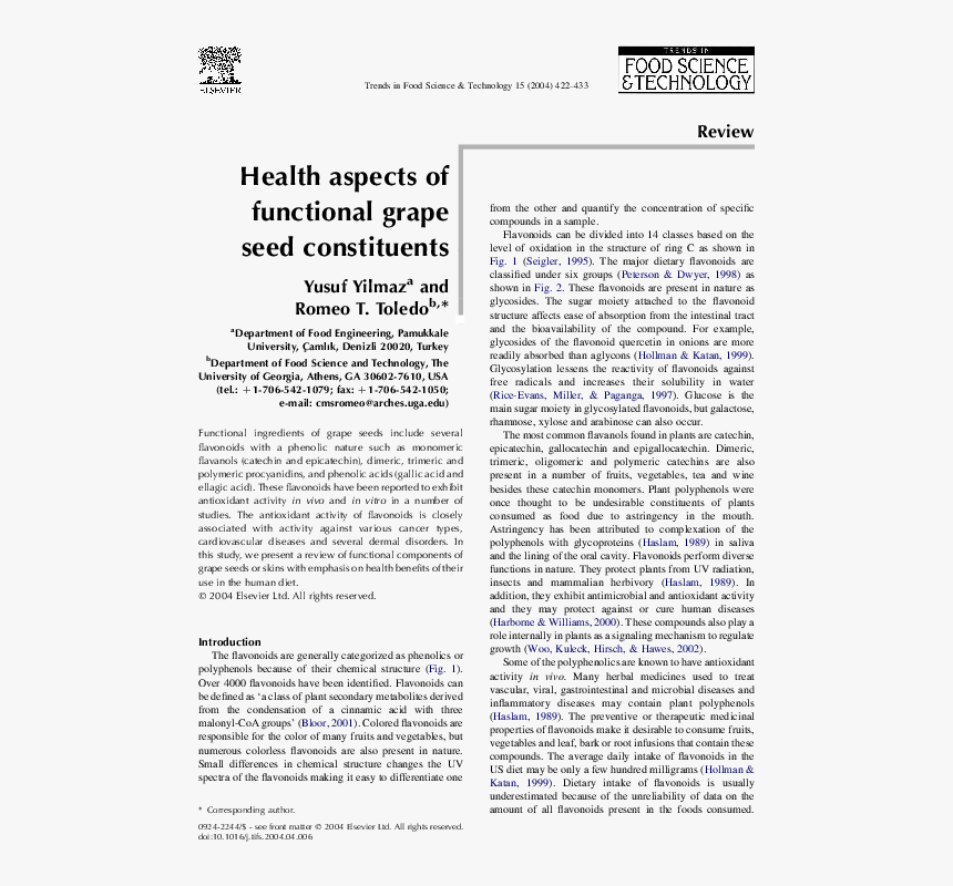 Document, HD Png Download