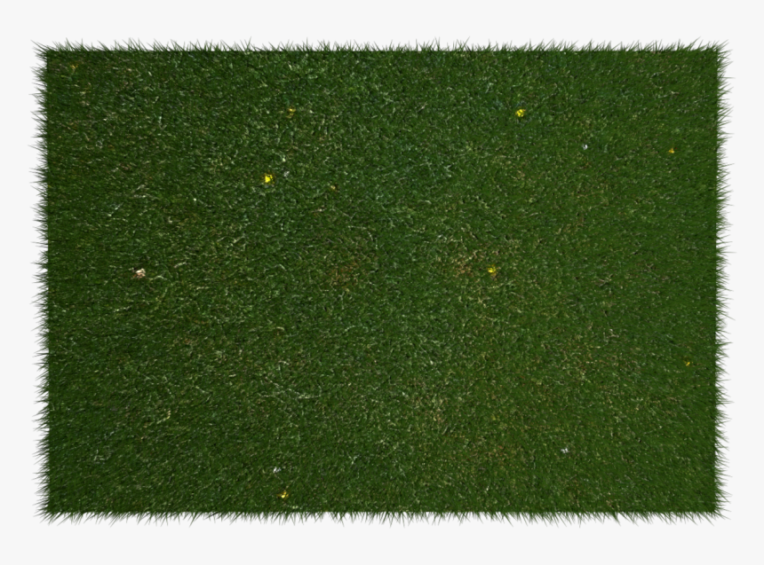 Cesped En Planta Png, Transparent Png