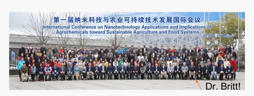 Crowd, HD Png Download