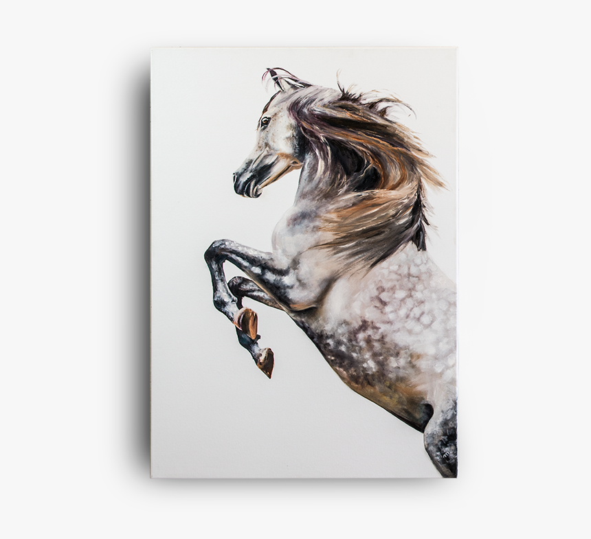 Stallion, HD Png Download