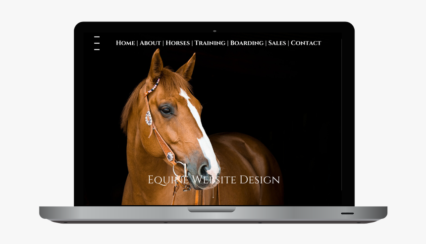 1575320764372 B - Brown Horse, HD Png Download