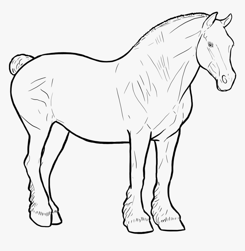 Mane, HD Png Download