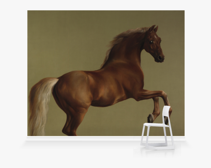 The National Gallery Shop, HD Png Download