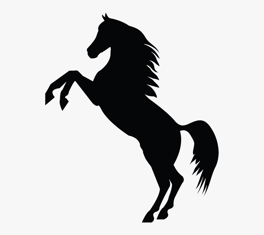 Horse On Hind Legs Silhouette, HD Png Download , Transparent Png Image PNGitem