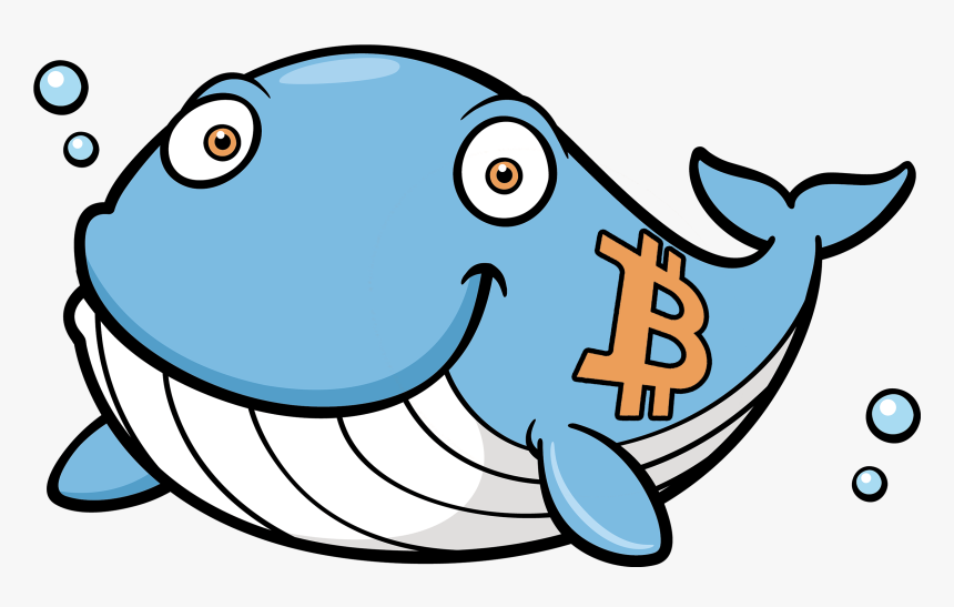 Blue Whale Cartoon Png, Transparent Png