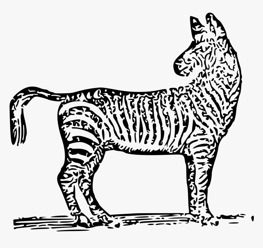 Illustration, HD Png Download