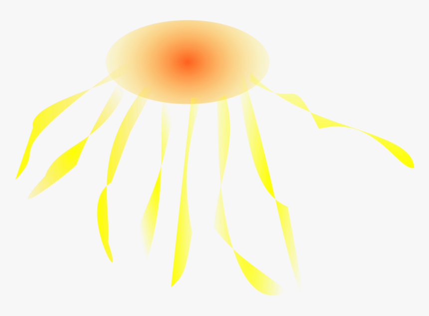 Collection Of Free Drawing Lion Mane Download On Ui - Illustration, HD Png Download