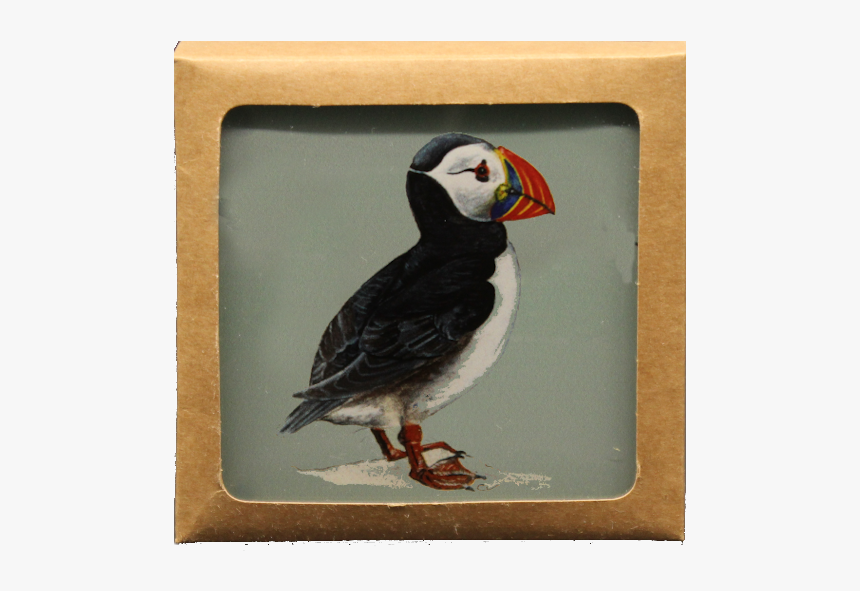 Puffin Coaster Giftset Webres 95pc Layer - Atlantic Puffin, HD Png Download
