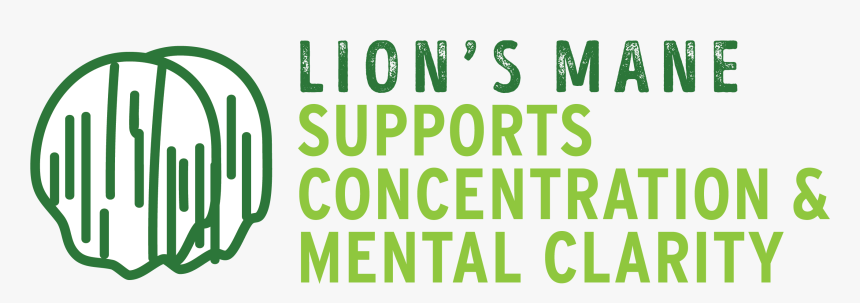 Lions Mane - Calligraphy, HD Png Download
