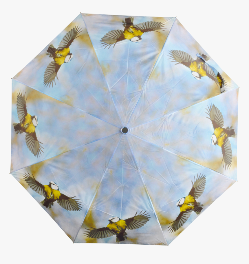 Foldable Umbrella Ass - Umbrella, HD Png Download