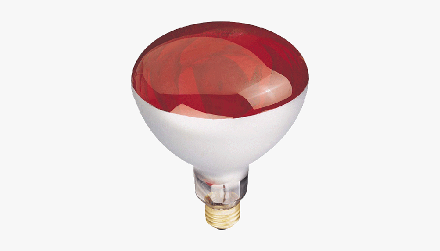 Fluorescent Lamp, HD Png Download