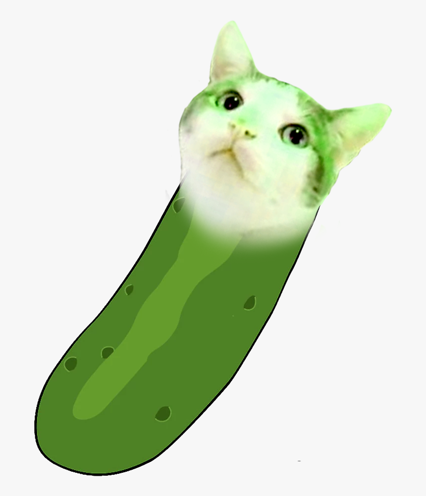 Cat Yawns, HD Png Download