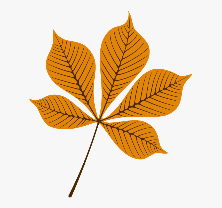 Autumn, HD Png Download
