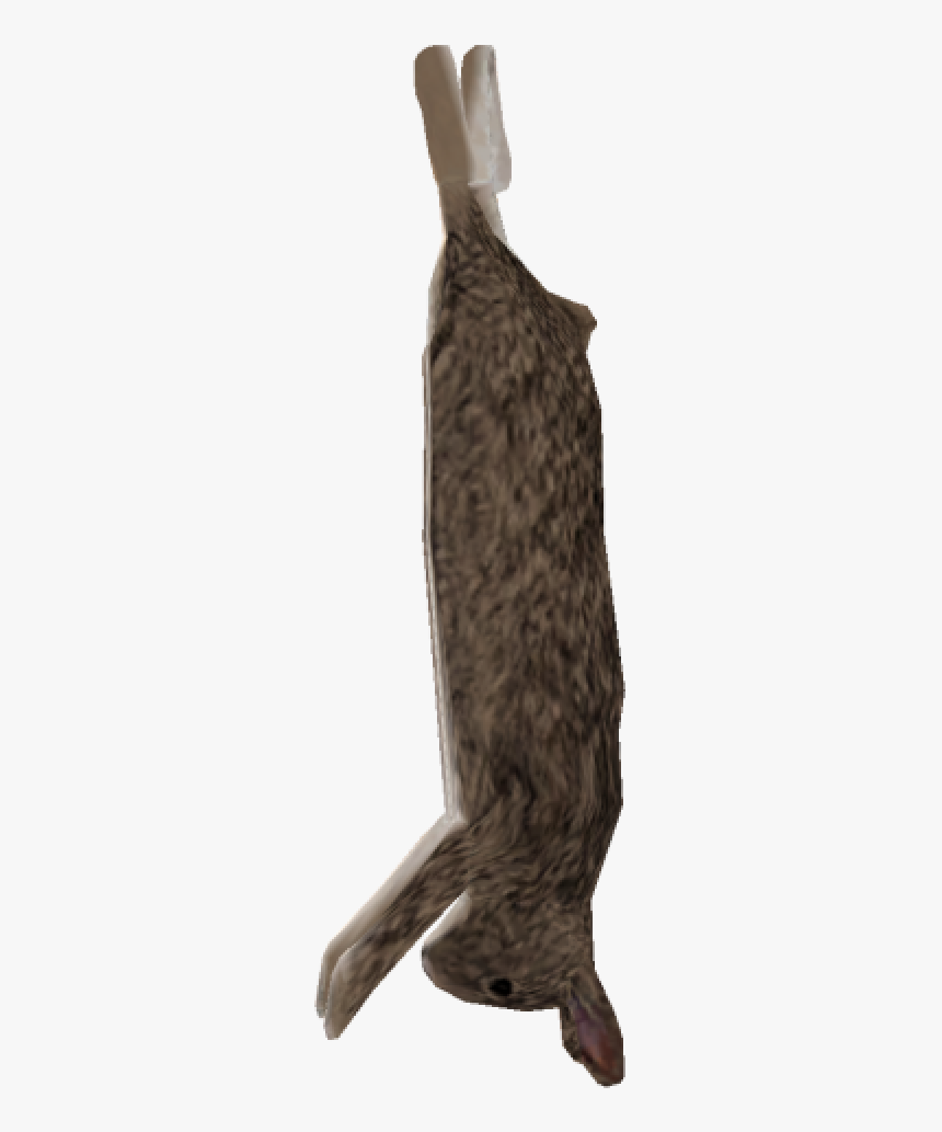 Knee-high Boot, HD Png Download