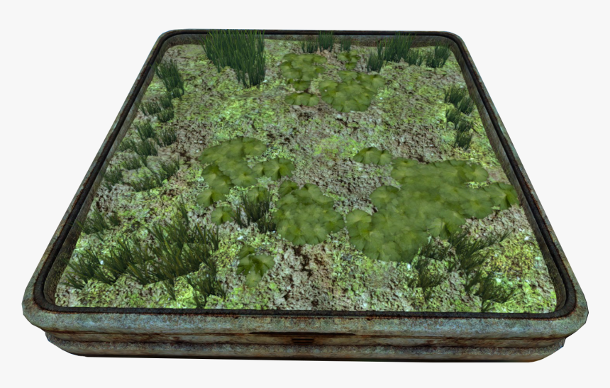 Subnautica Wiki - Moss, HD Png Download