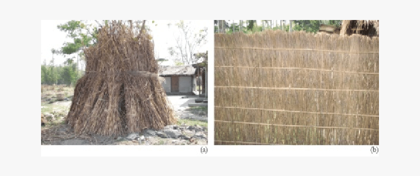 Ikra Reed, HD Png Download