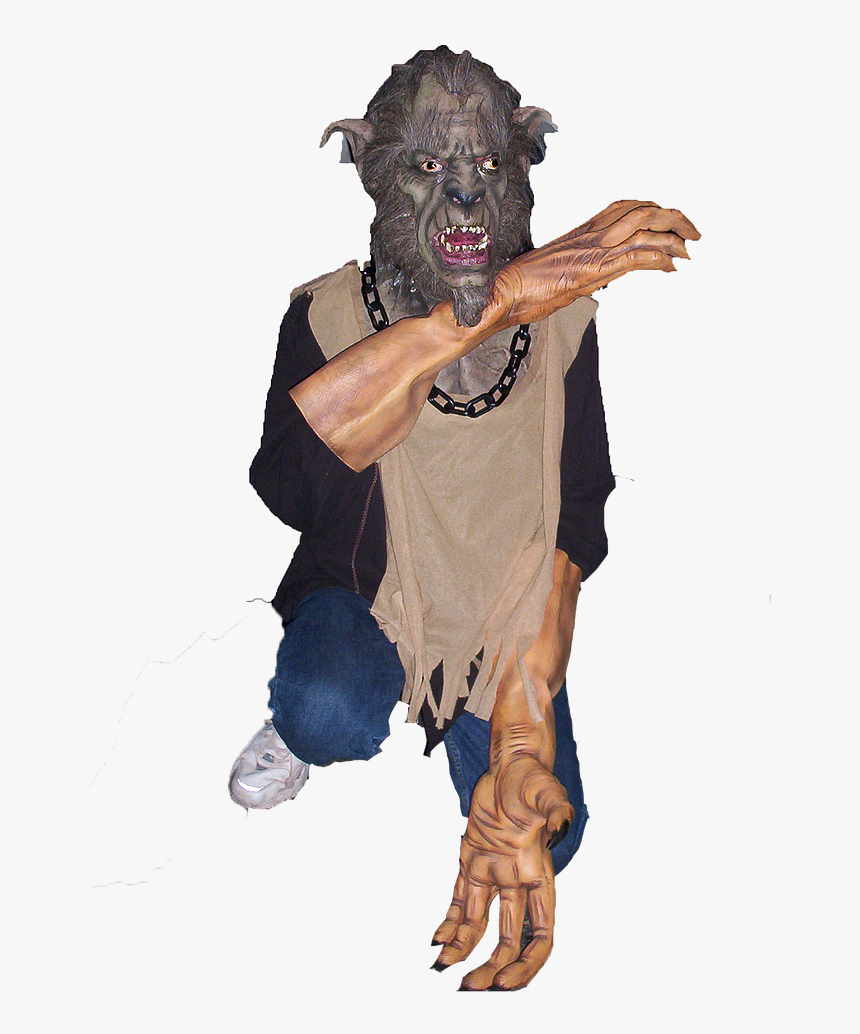 Boar, HD Png Download