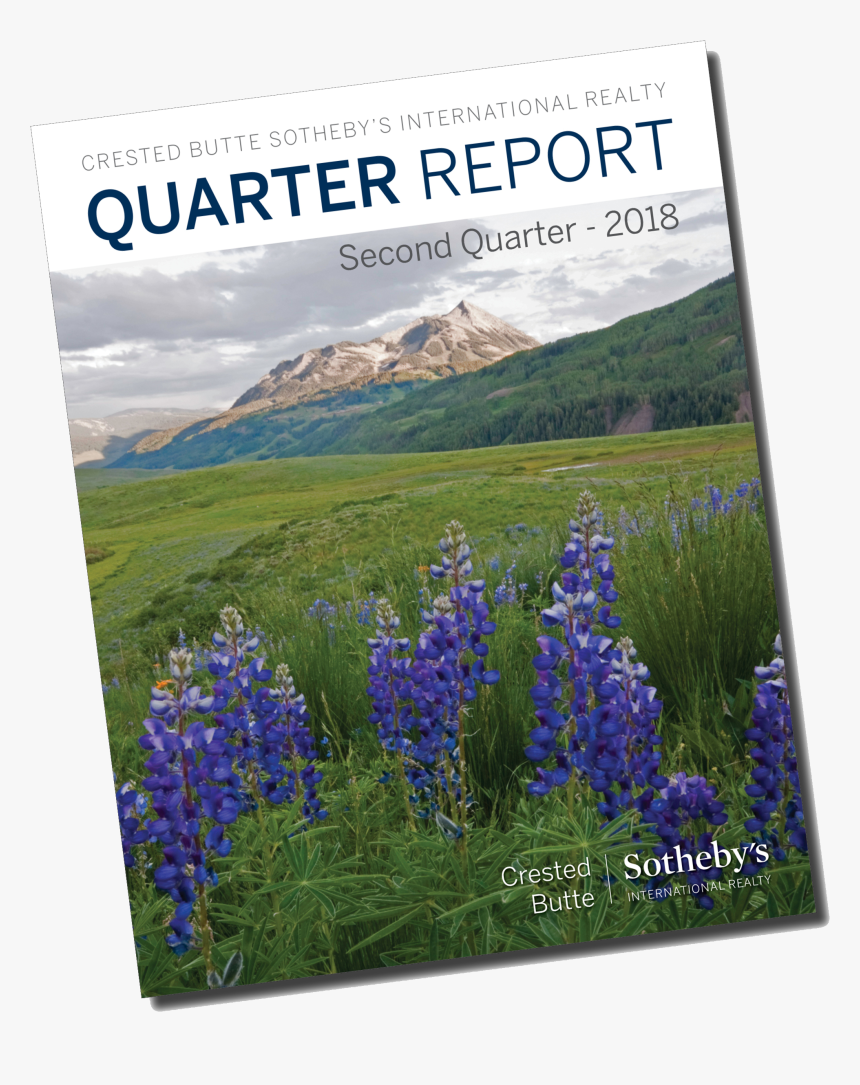 Texas Bluebonnet, HD Png Download