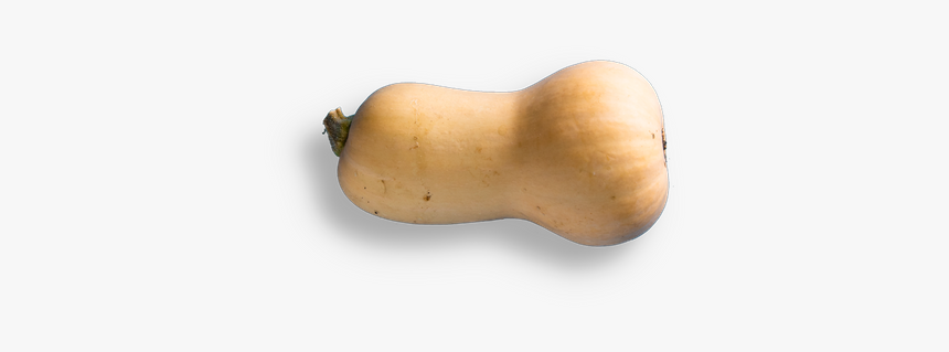Butternut Squash, HD Png Download