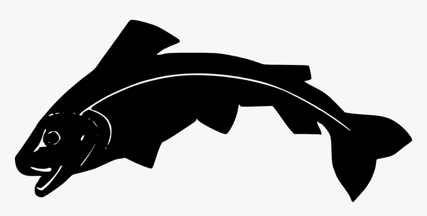 Orca Clipart, HD Png Download