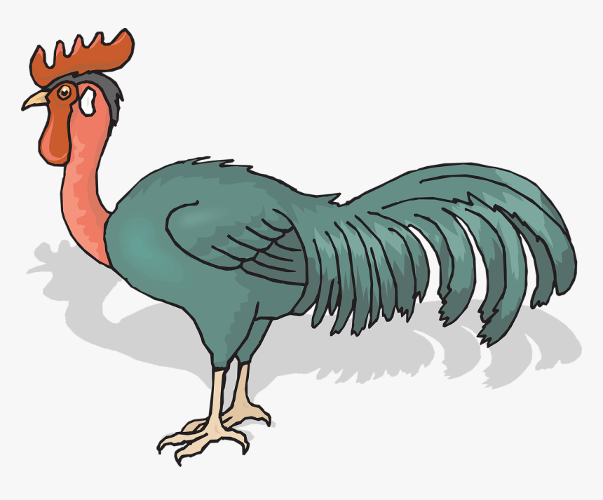 Ảnh Động Con Gà, HD Png Download