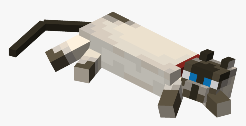 Cat, HD Png Download