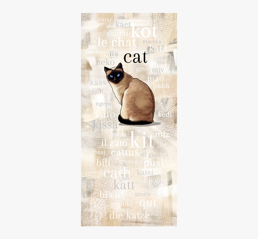 Siamese, HD Png Download