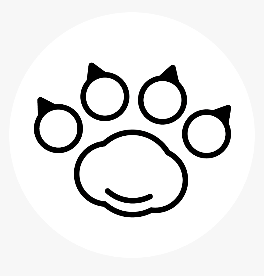 Circle, HD Png Download